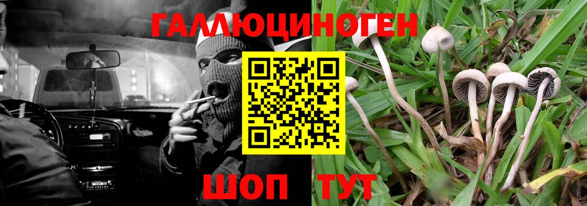 Псилоцибиновые грибы прущие грибы Новокузнецк