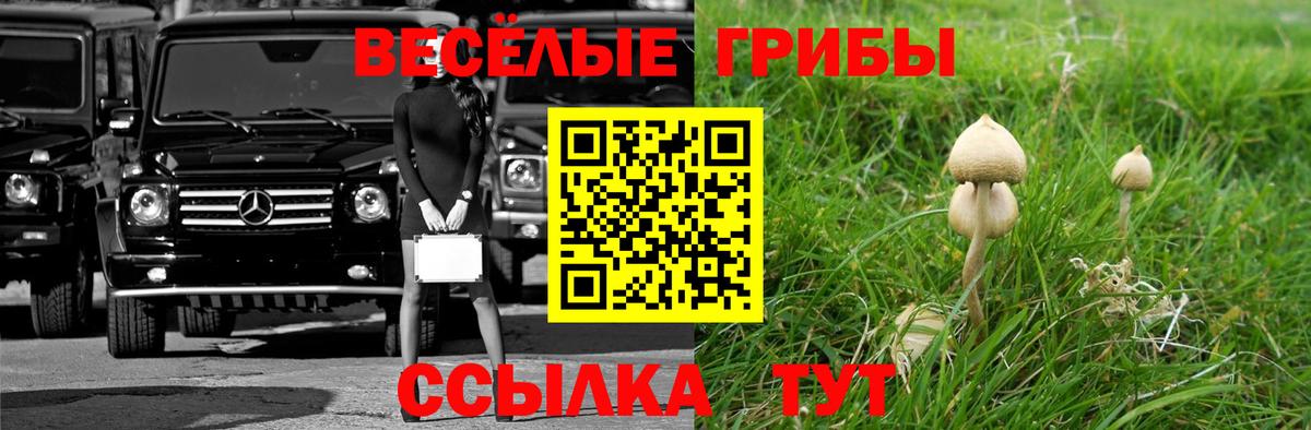 Псилоцибиновые грибы ЛСД  Галлюциногенные грибы ЛСД  Вход с VPN  Новокузнецк 